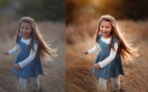 Remaker AI: Pengertian, Fitur, dan Cara Menggunakannya