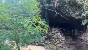 Kisah Darmaji Manusia Gua Anggas Wesi, Tinggal Puluhan Tahun di Tengah Hutan