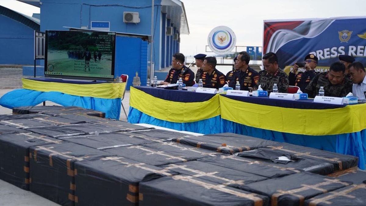 Kejar-kejaran! Bea Cukai Hadang Kapal Cepat Bawa Benih Lobster Ilegal