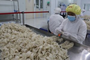 Sejarah sarang burung walet sebagai komoditas unggulan Indonesia