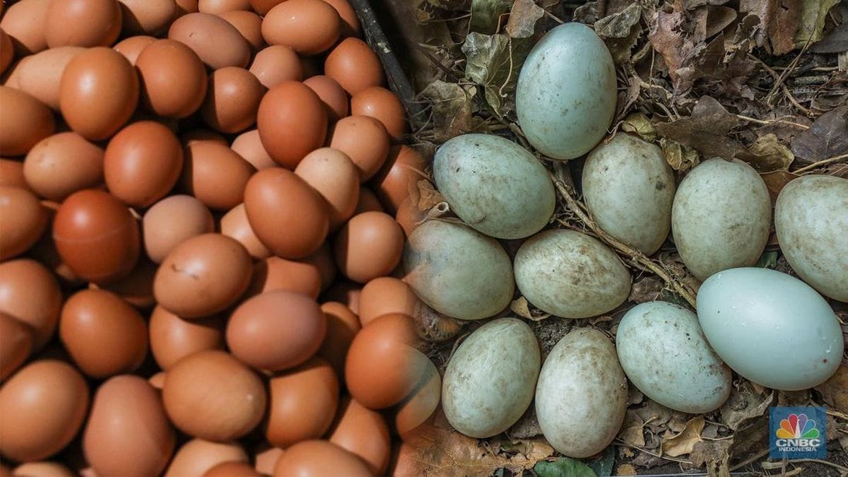 Telur Ayam vs Telur Bebek, Mana yang Paling Sehat?